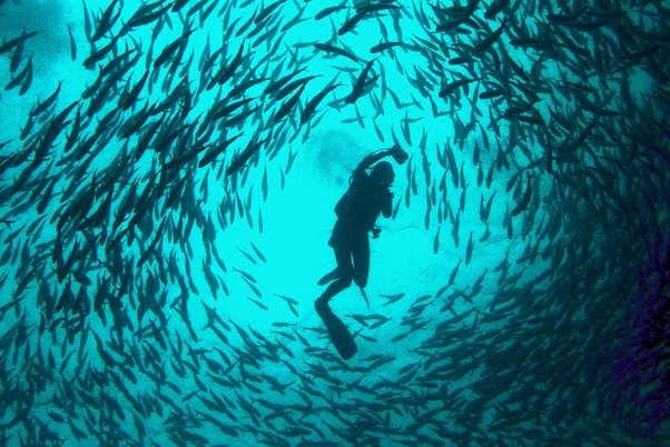 Sipadan Island